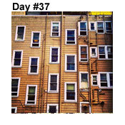 Day Thirty-Seven: Window Treatment